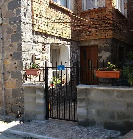 Nino Daire Süzebolu